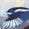 Magpie
